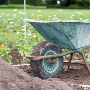 events-wegesanierung-egapark-2019.jpg