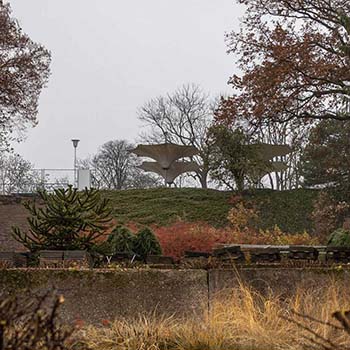 thumbnail-egapark-erfurt-irisgarten.jpg